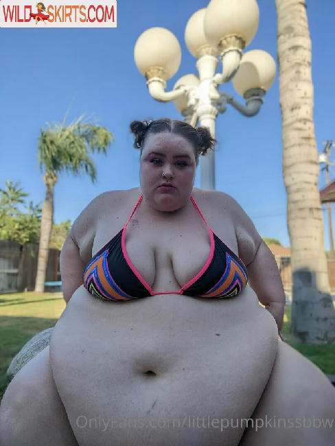 littlepumpkinssbbw nude OnlyFans, Instagram leaked photo #27