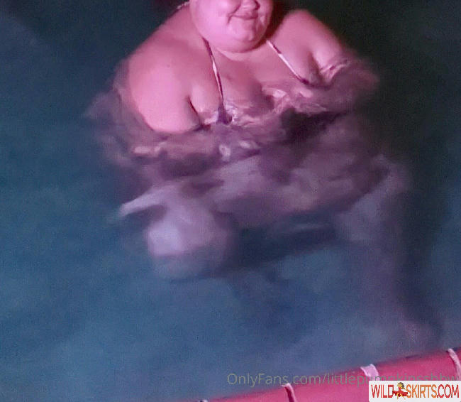 littlepumpkinssbbw nude OnlyFans, Instagram leaked photo #46