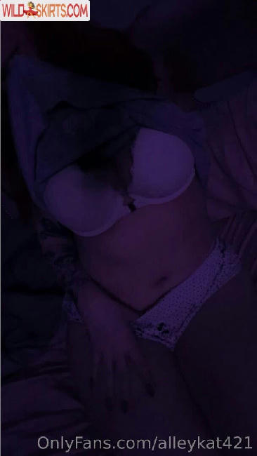 lleykt421 / alleykat421 nude OnlyFans leaked photo #113