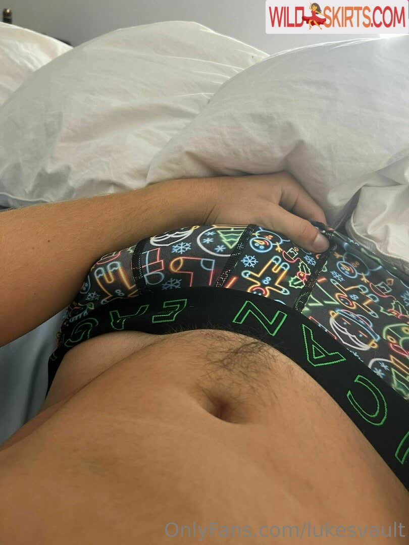 lukesvault / lukesvault / lukesvault_ nude OnlyFans, Instagram leaked photo #3