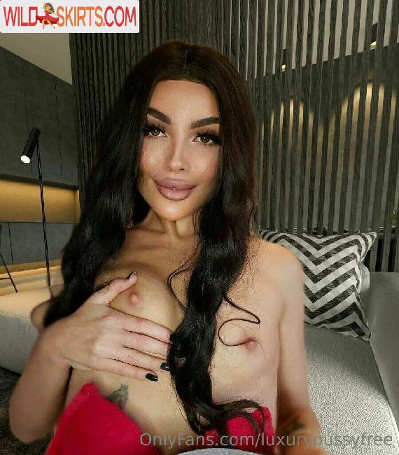 luxurypussyfree nude OnlyFans leaked photo #57