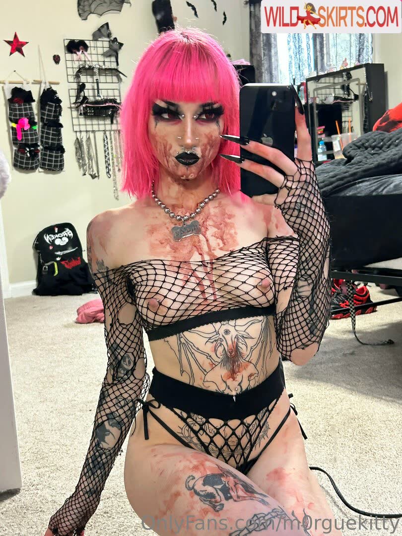 m0rguekitty / m0rguekitty / m0rguekittyy nude OnlyFans, Instagram leaked photo #1