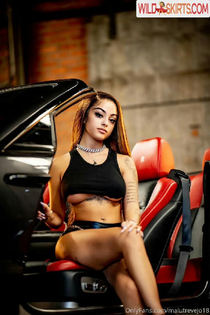 malutrevejo18 / malutrevejo / malutrevejo18 nude OnlyFans, Instagram leaked photo #249