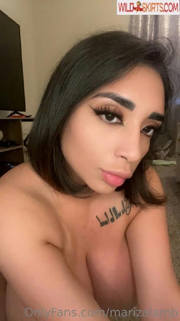 marizalamb nude OnlyFans leaked photo #159