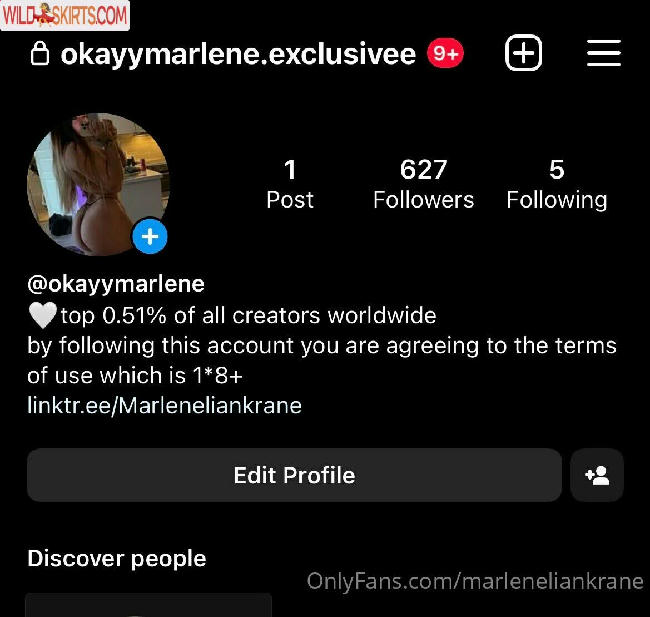 Marleneliankrane / marleneliankrane / okayymarlene nude OnlyFans, Instagram leaked photo #20