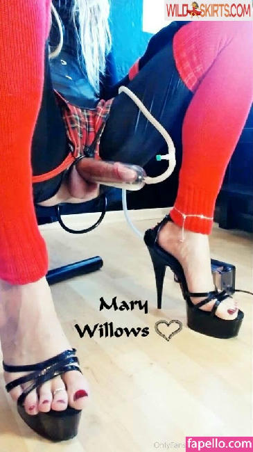 marywillows nude OnlyFans, Instagram leaked photo #99