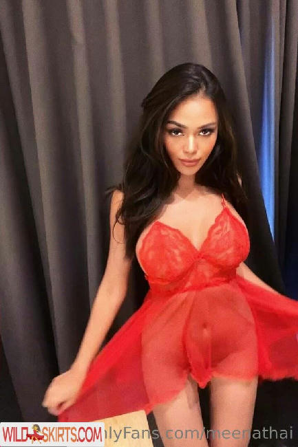 meenathai / meenathai / meenathailand nude OnlyFans, Instagram leaked photo #68