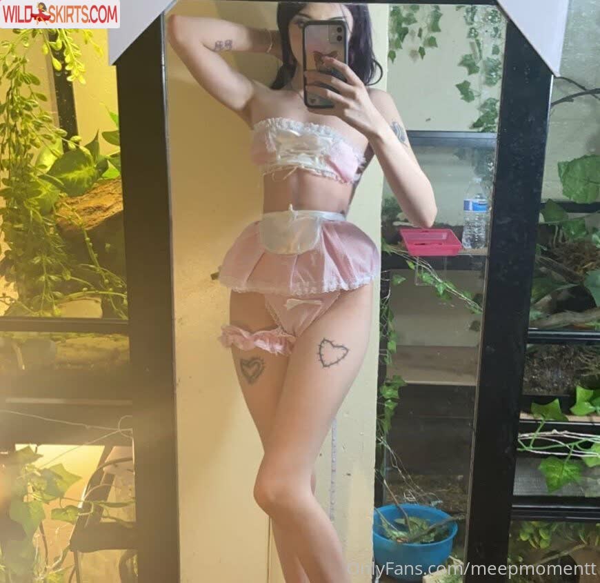 Meepmomentt / meepmomentt nude OnlyFans, Instagram leaked photo #3