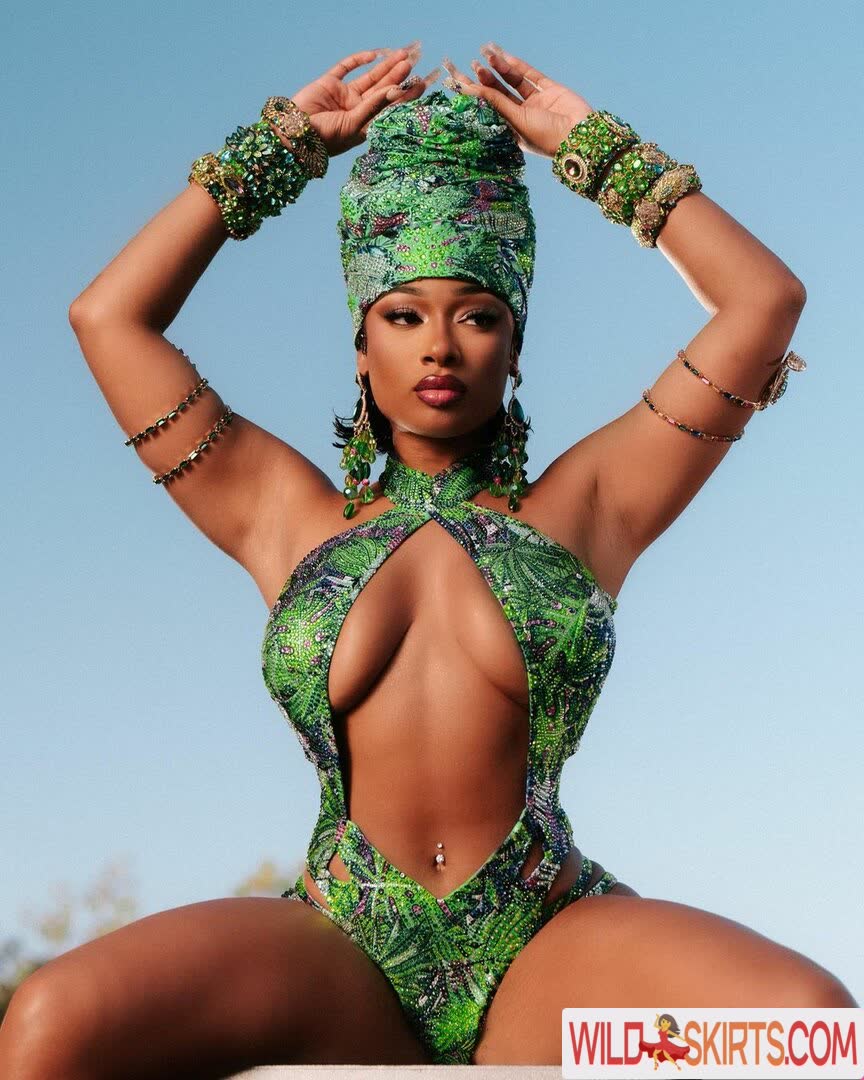 Megan Thee Stallion / megan_renee316 / theestallion nude OnlyFans, Instagram leaked photo #1