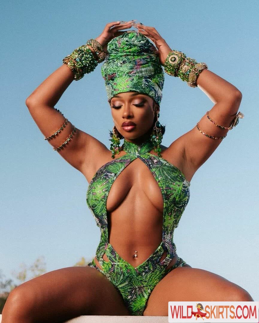 Megan Thee Stallion nude leaked photo #318