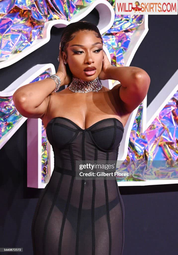 Megan Thee Stallion / megan_renee316 / theestallion nude OnlyFans, Instagram leaked photo #2