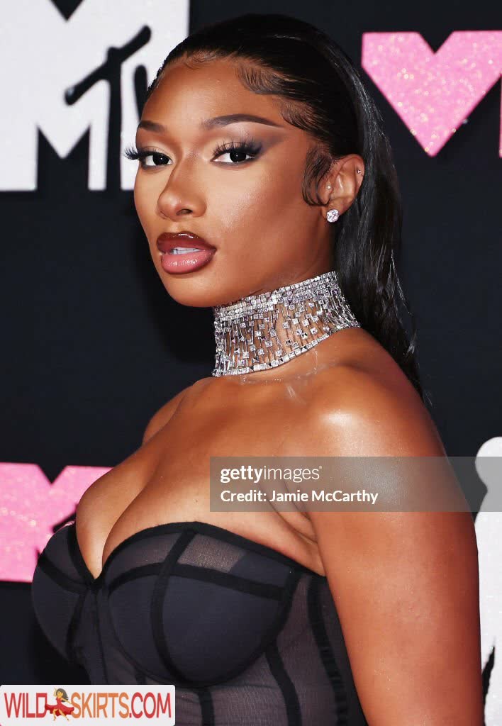 Megan Thee Stallion / megan_renee316 / theestallion nude OnlyFans, Instagram leaked photo #3