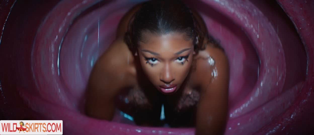 Megan Thee Stallion nude leaked photo #395