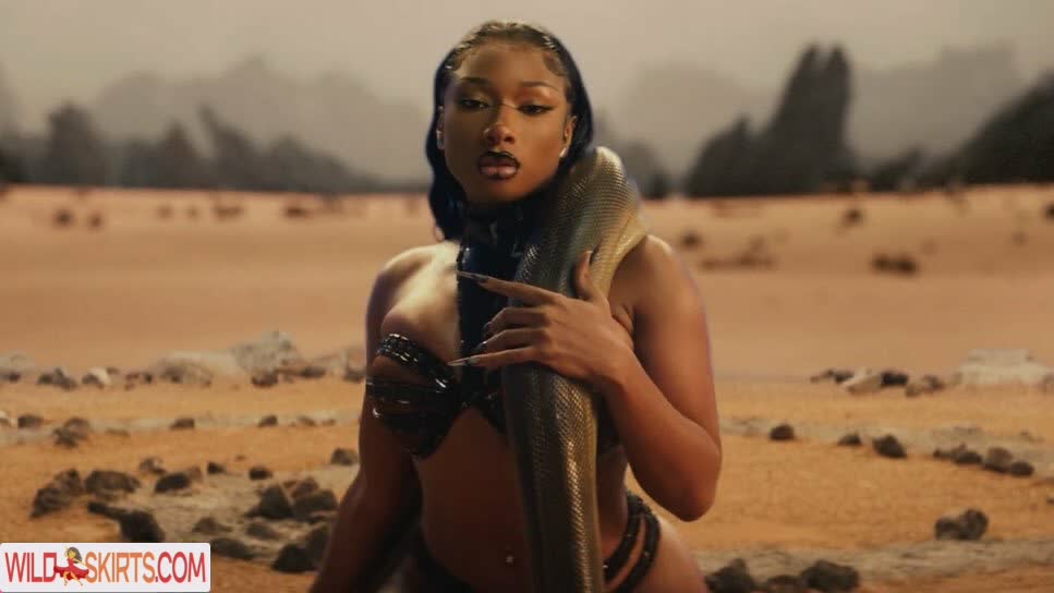 Megan Thee Stallion nude leaked photo #397