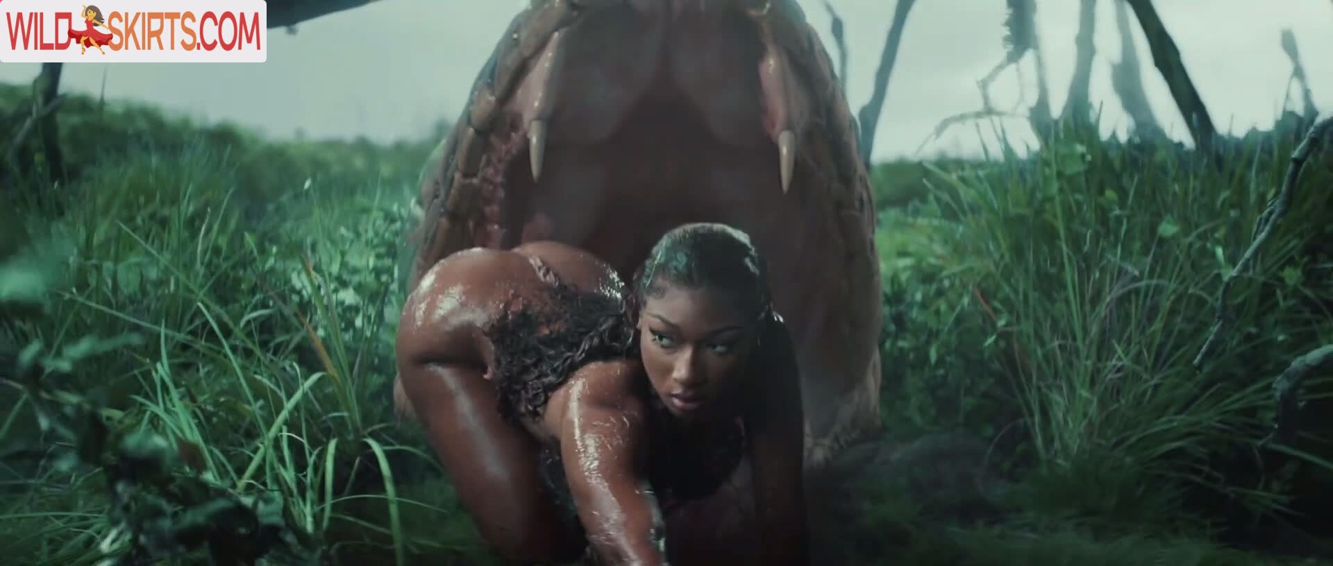 Megan Thee Stallion nude leaked photo #408