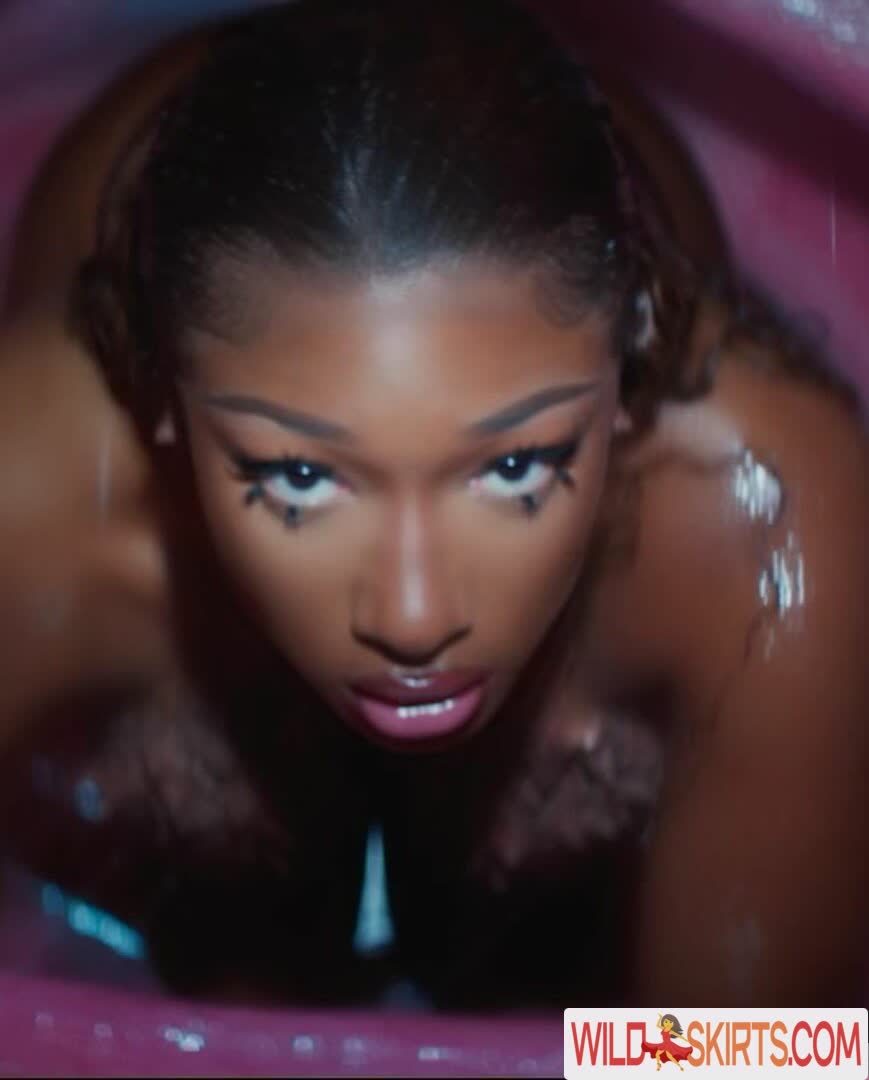 Megan Thee Stallion nude leaked photo #410