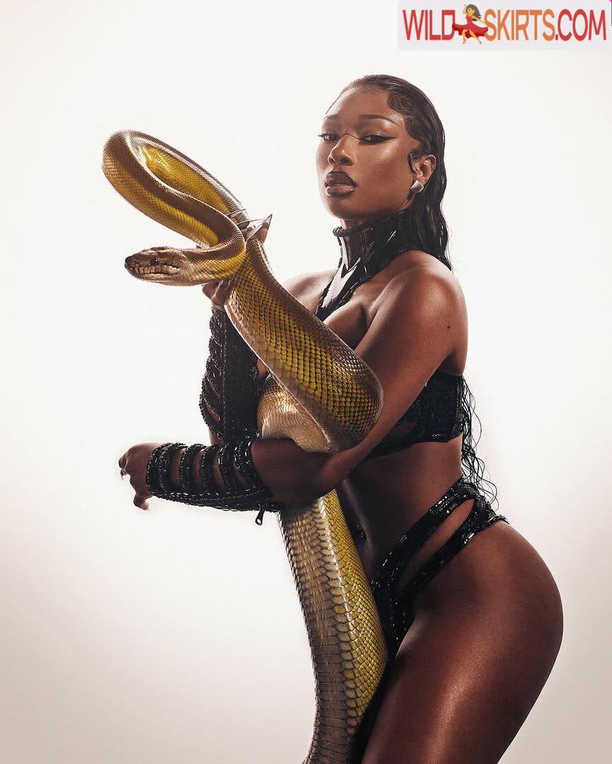 Megan Thee Stallion nude leaked photo #454