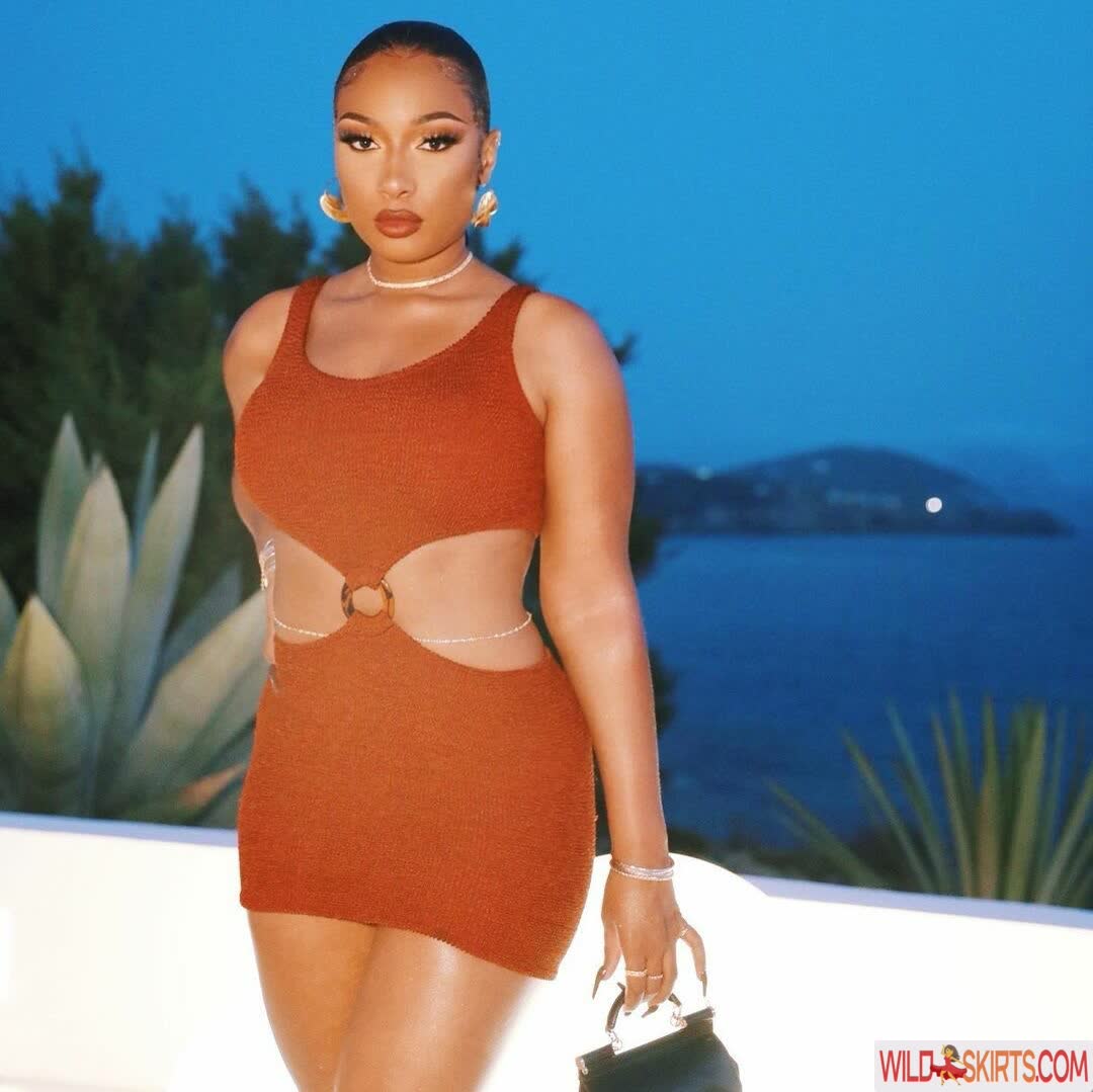 Megan Thee Stallion / megan_renee316 / theestallion nude OnlyFans, Instagram leaked photo #8