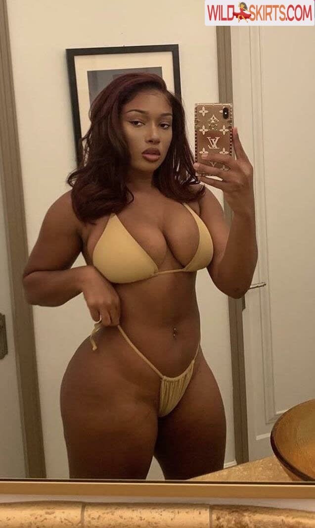 Megan Thee Stallion nude leaked photo #261