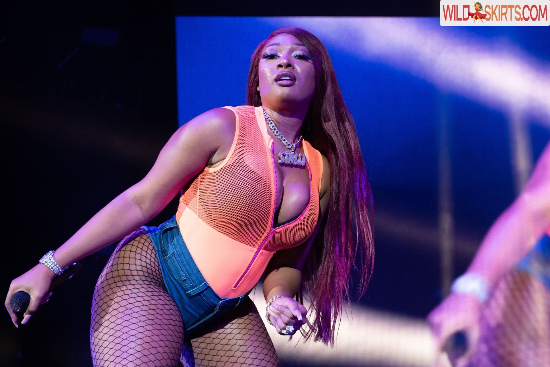 Megan Thee Stallion / megan_renee316 / theestallion nude OnlyFans, Instagram leaked photo #2