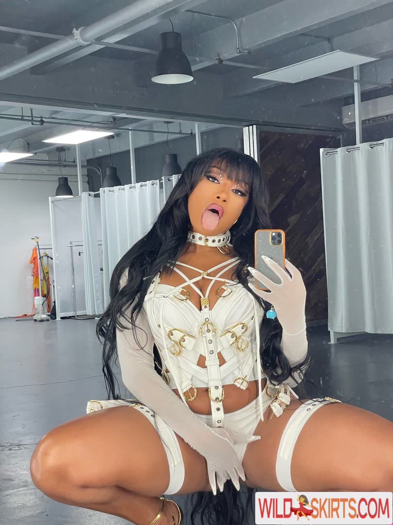 Megan Thee Stallion nude leaked photo #71