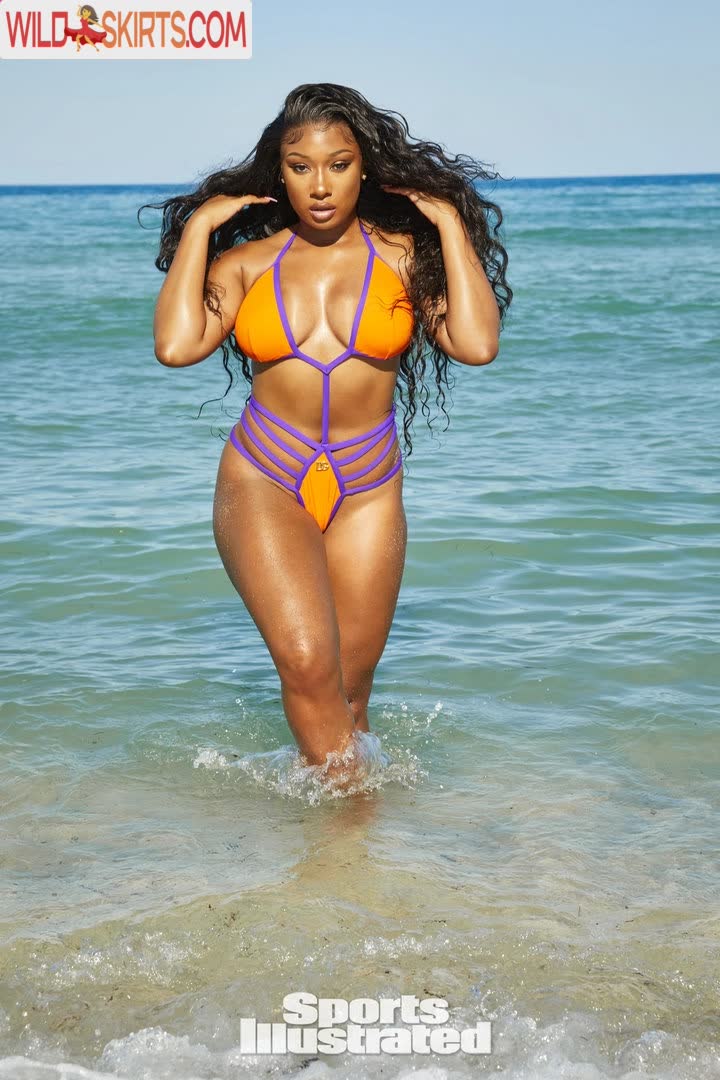 Megan Thee Stallion nude leaked photo #234