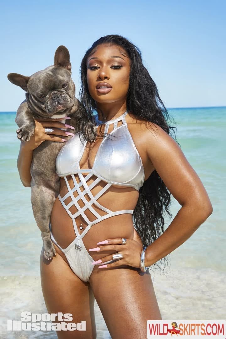 Megan Thee Stallion nude leaked photo #123