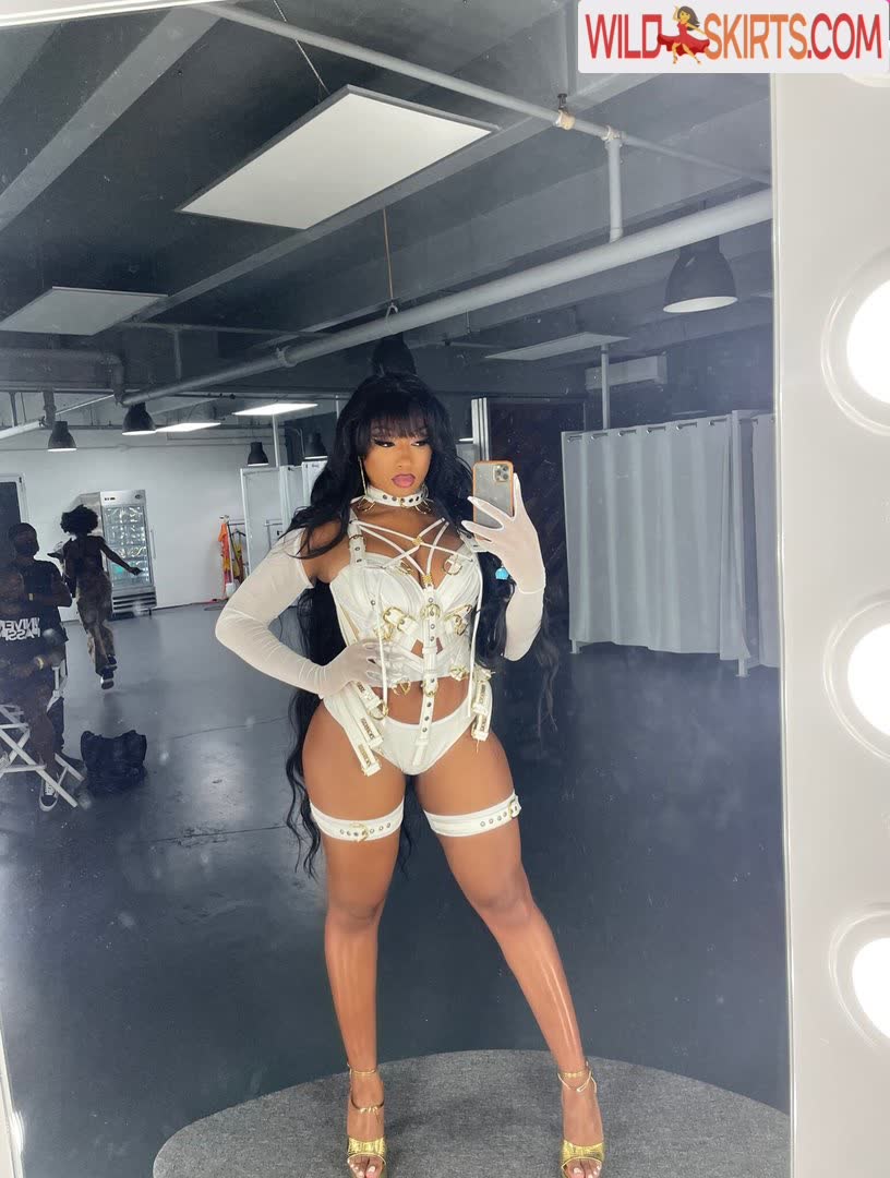 Megan Thee Stallion nude leaked photo #178