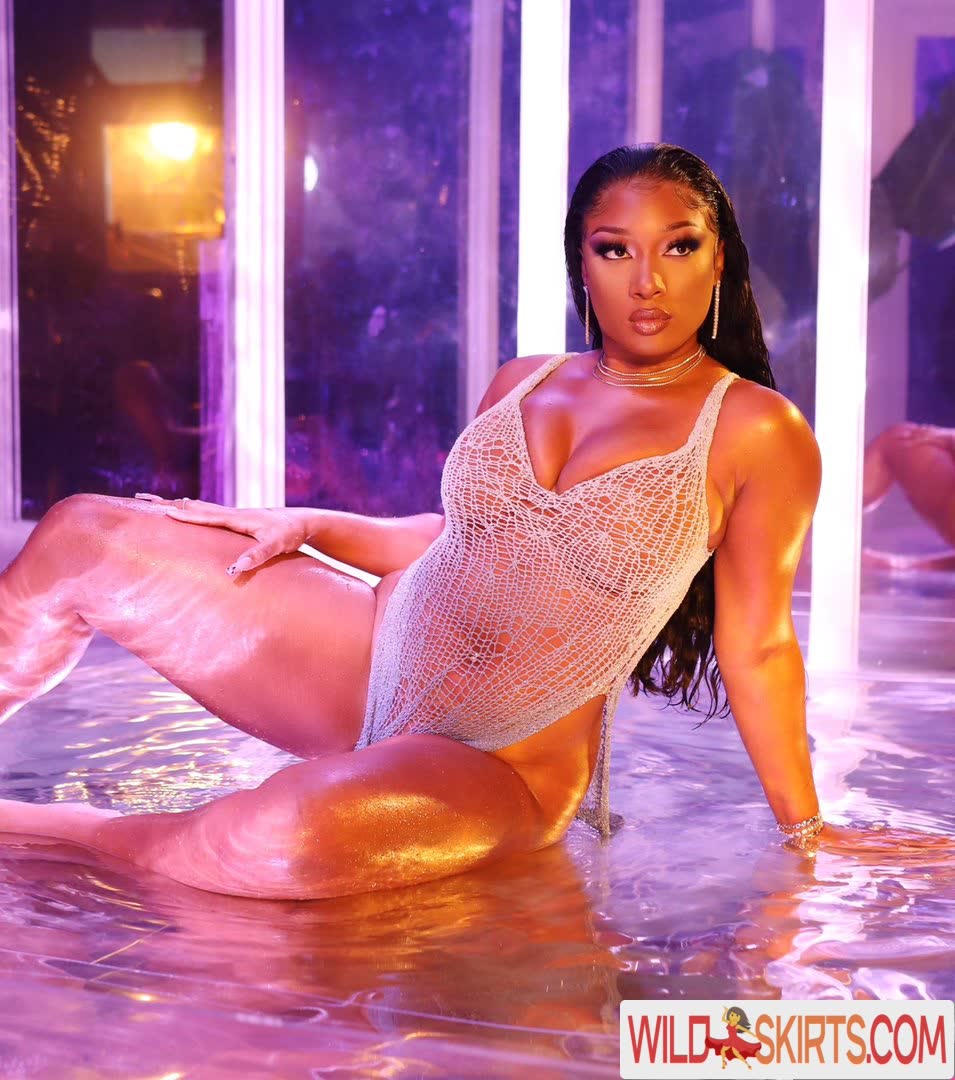 Megan Thee Stallion nude leaked photo #182