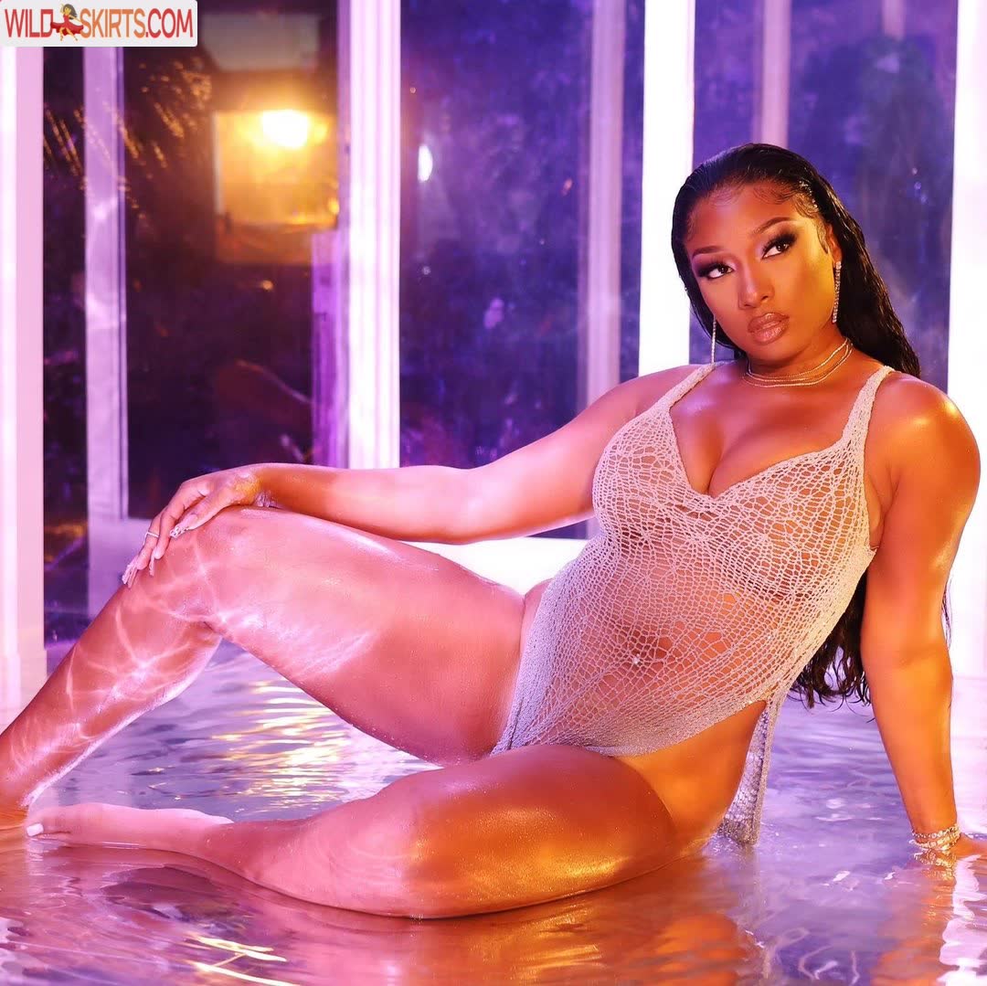 Megan Thee Stallion nude leaked photo #231