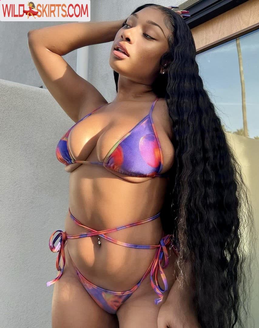 Megan Thee Stallion nude leaked photo #235