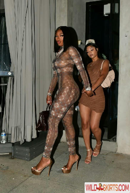 Megan Thee Stallion / megan_renee316 / theestallion nude OnlyFans, Instagram leaked photo #365