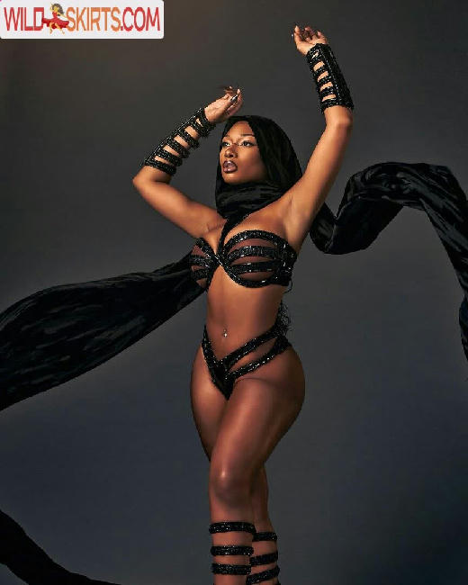 Megan Thee Stallion / megan_renee316 / theestallion nude OnlyFans, Instagram leaked photo #434