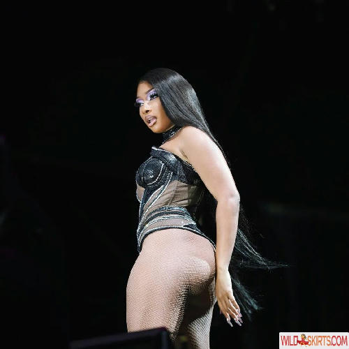 Megan Thee Stallion / megan_renee316 / theestallion nude OnlyFans, Instagram leaked photo #248