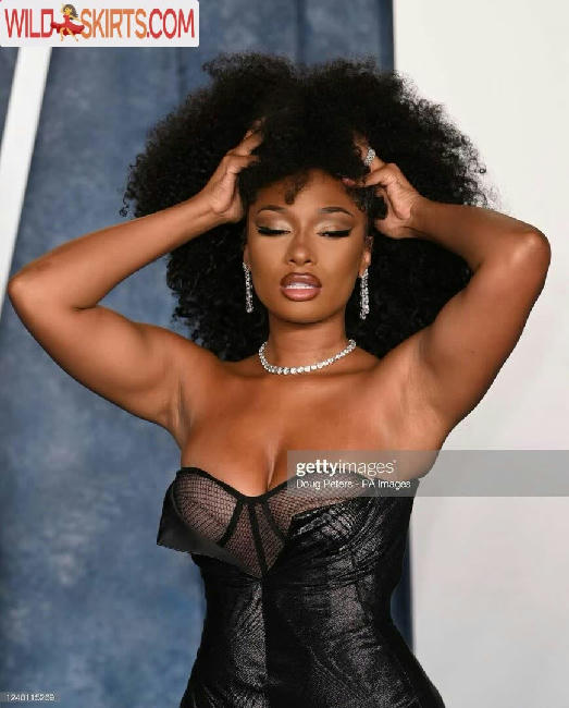 Megan Thee Stallion / megan_renee316 / theestallion nude OnlyFans, Instagram leaked photo #292