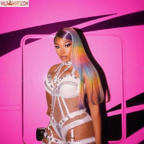 Megan Thee Stallion / megan_renee316 / theestallion nude OnlyFans, Instagram leaked photo #21