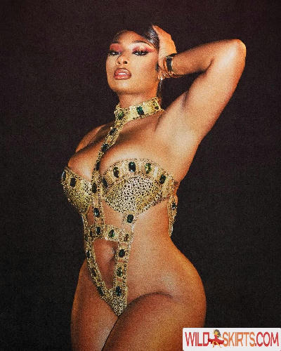 Megan Thee Stallion / megan_renee316 / theestallion nude OnlyFans, Instagram leaked photo #66