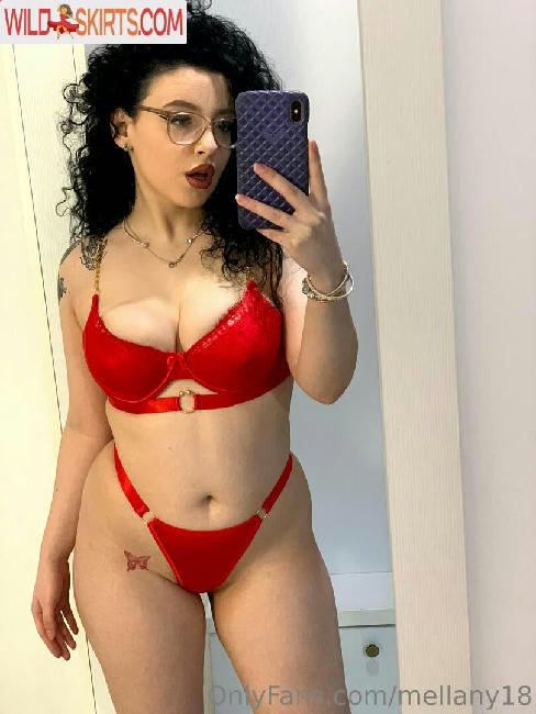 mellany18 / mellany18 / mir_mel18 nude OnlyFans, Instagram leaked photo #35