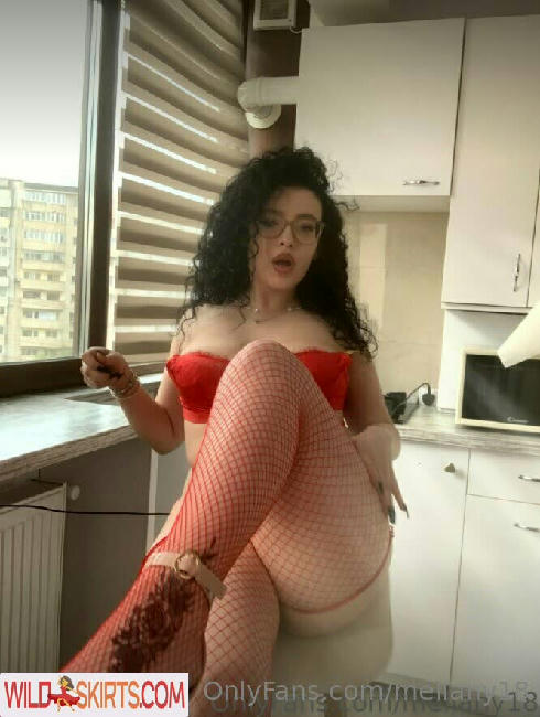 mellany18 / mellany18 / mir_mel18 nude OnlyFans, Instagram leaked photo #140