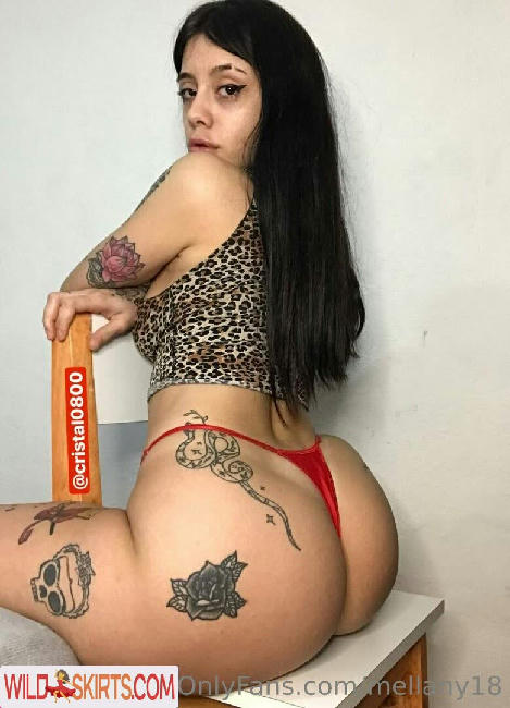 mellany18 / mellany18 / mir_mel18 nude OnlyFans, Instagram leaked photo #219