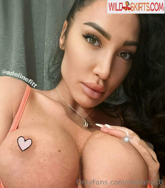 mellany18 / mellany18 / mir_mel18 nude OnlyFans, Instagram leaked photo #222