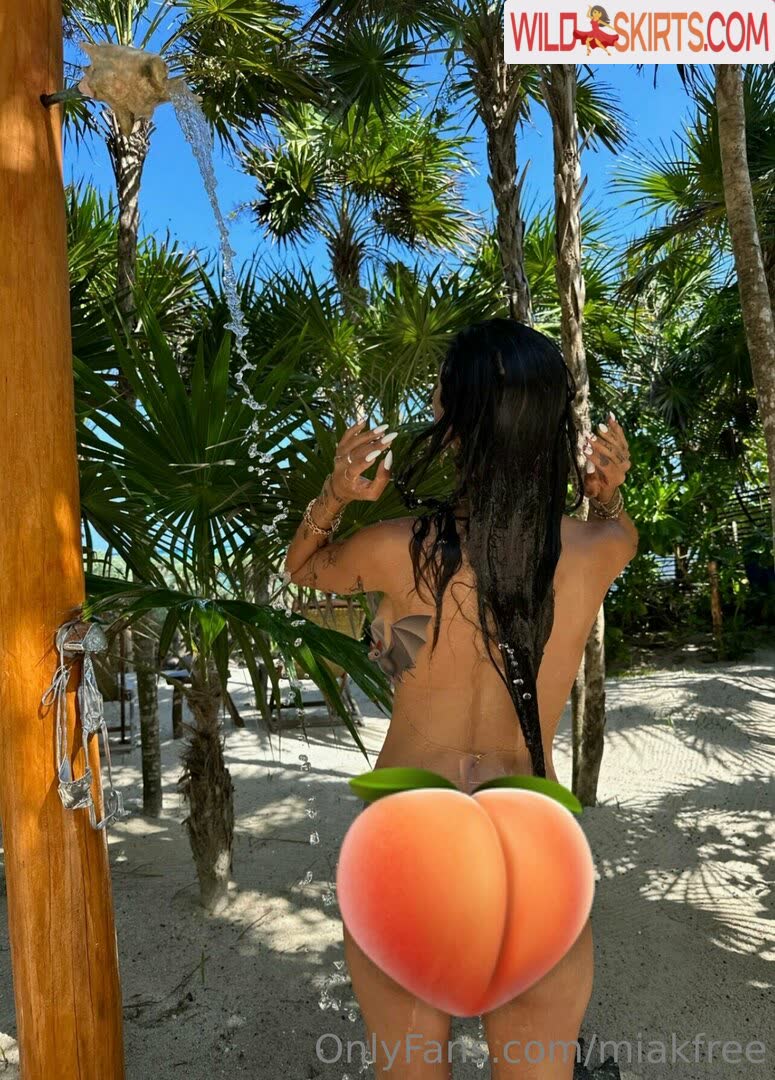 miakfree / miafree_ / miakfree nude OnlyFans, Instagram leaked photo #14