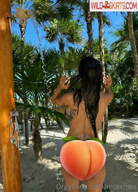 miakfree / miafree_ / miakfree nude OnlyFans, Instagram leaked photo #20