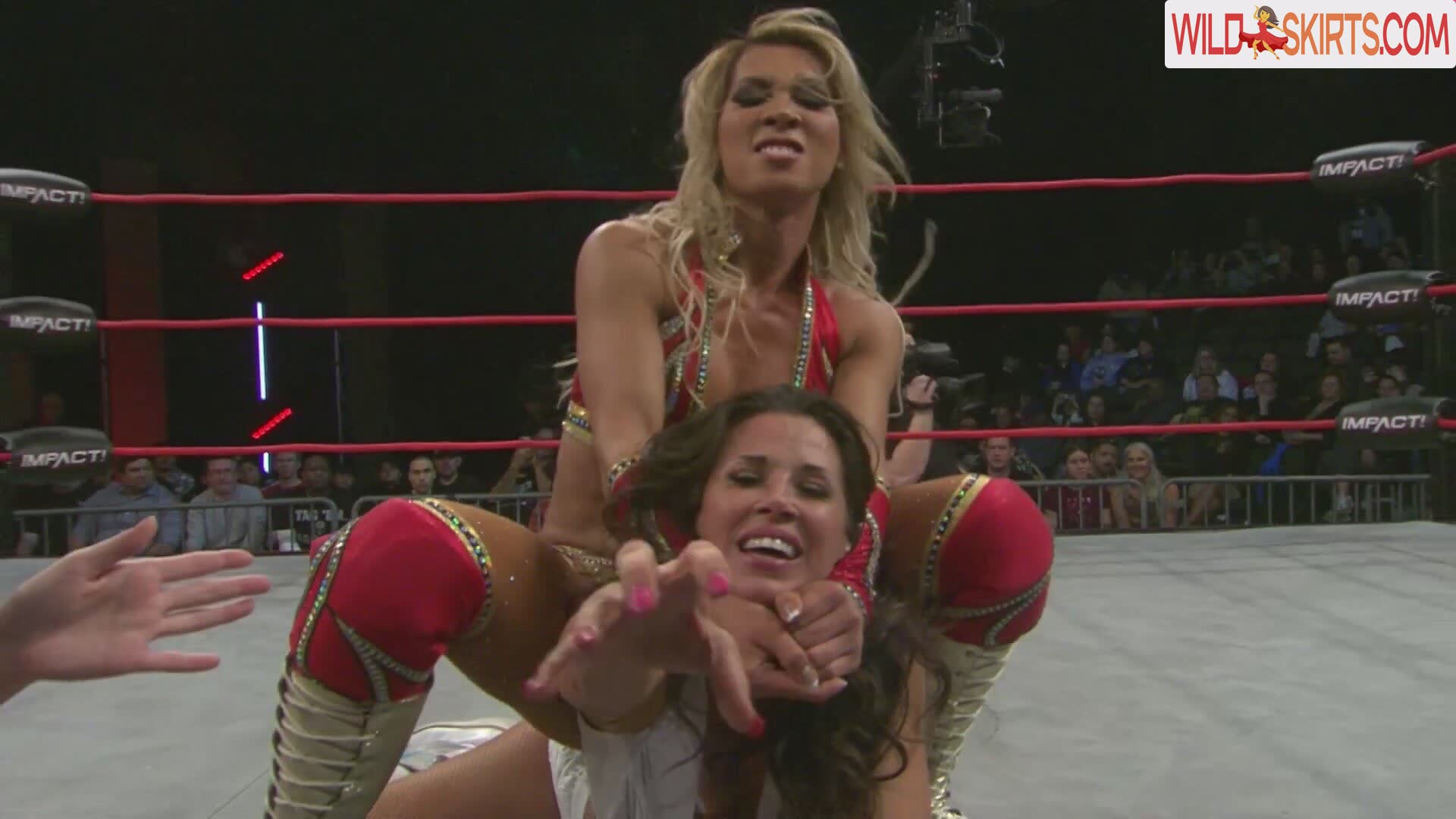 Mickie James nude leaked photo #722