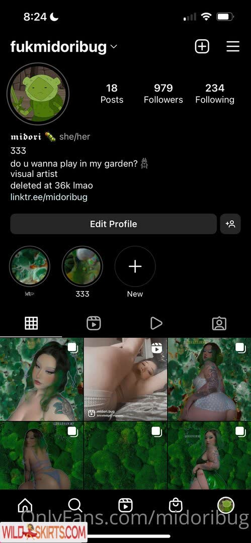 midoribug / midori.bug / midoribug nude OnlyFans, Instagram leaked photo #23