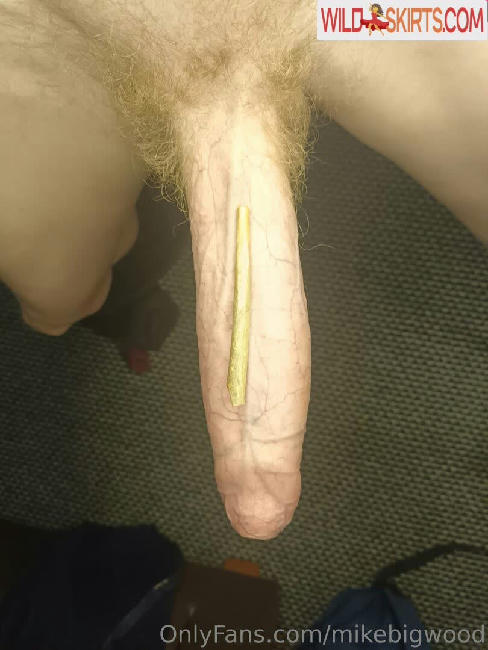 mikebigwood / mikebigwood / themikebigwood nude OnlyFans, Instagram leaked photo #32