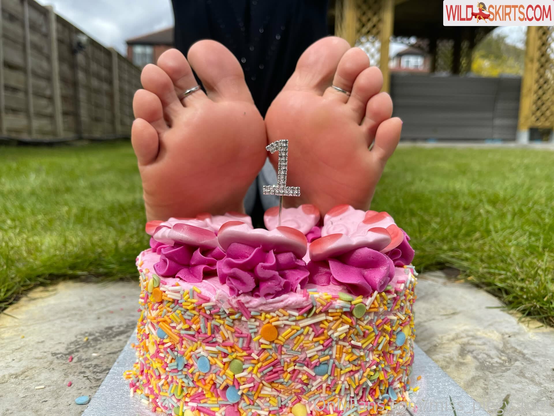 miss_piggy_toes / miss_piggy_toes / misspiggytoesco nude OnlyFans, Instagram leaked photo