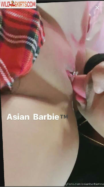 missasianbarbie69 / asianbarbietina / asianbarbietina.69 / missasianbarbie69 nude OnlyFans, Instagram leaked photo #20