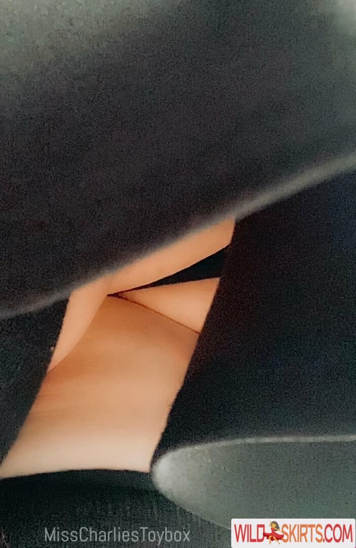 misscharliestoybox / misscharliestoybox / theregowhitneyyyy nude OnlyFans, Instagram leaked photo