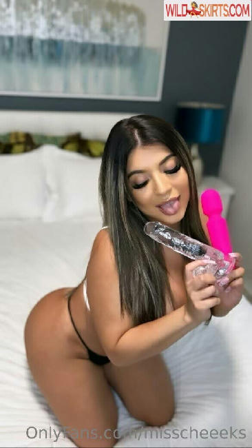 misscheeeks nude OnlyFans, Instagram leaked photo #26